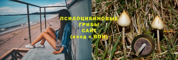 гидропоника Алзамай