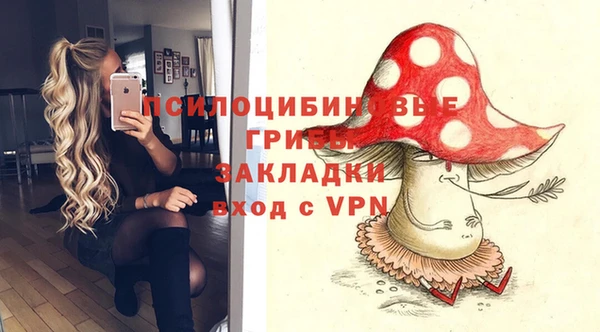 прущие крисы Алексеевка
