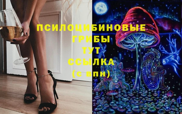 гидропоника Алзамай